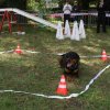 foire-haricots 2011-09-17et18